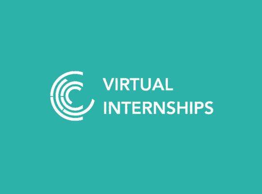Virtual Interships